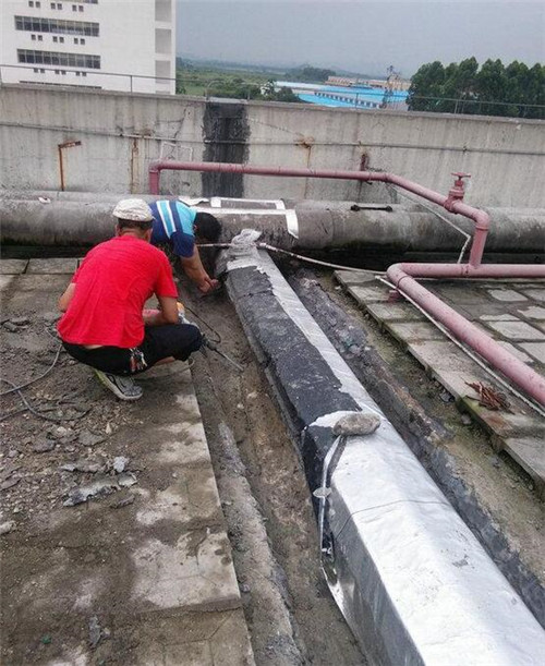 伸缩缝防水怎么做 建筑防水工程全面指南