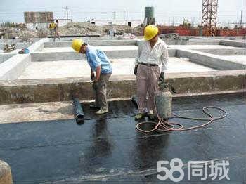 安徽杨氏防水工程 匠心铸造建筑防水坚实防线